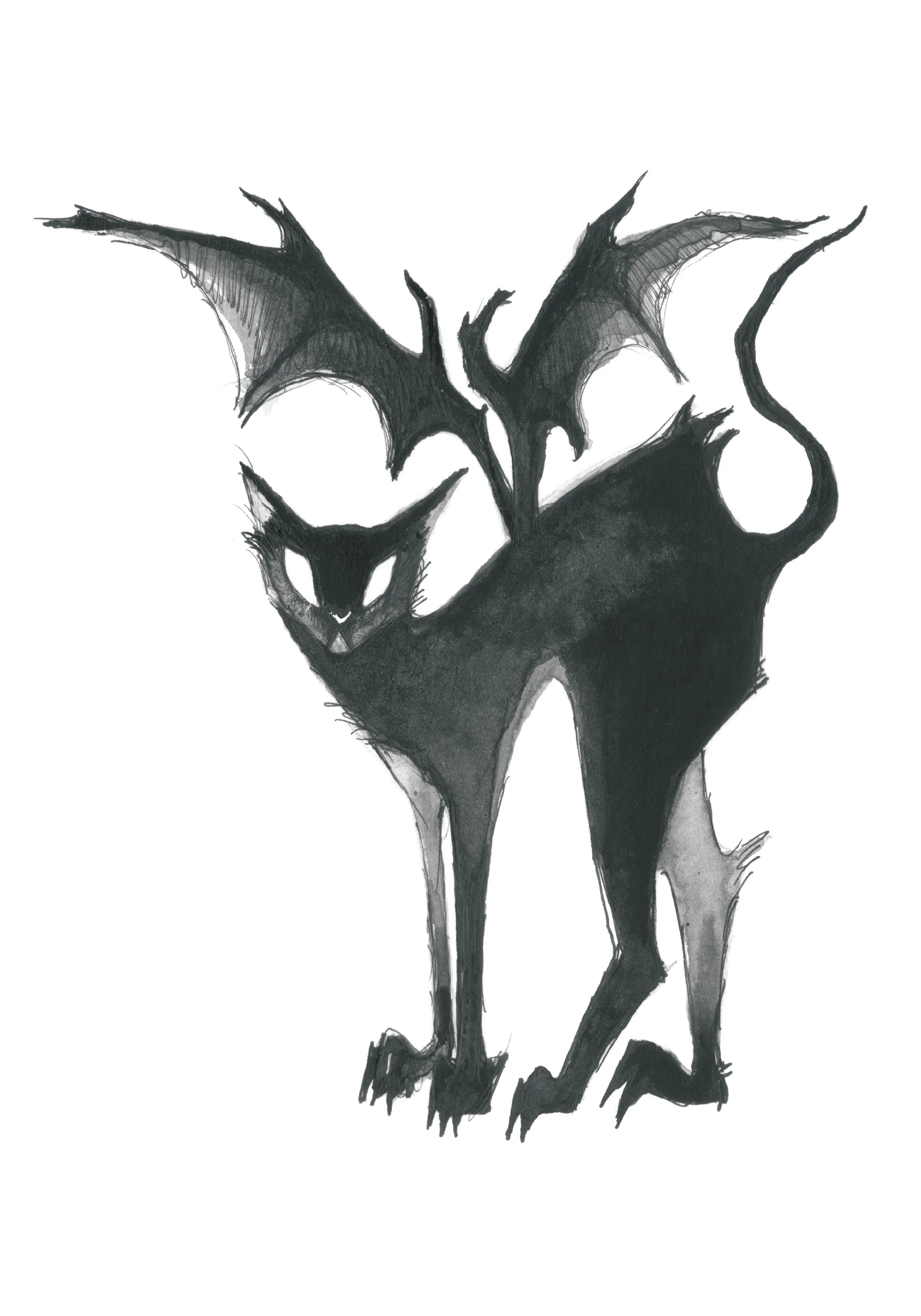 Batcat