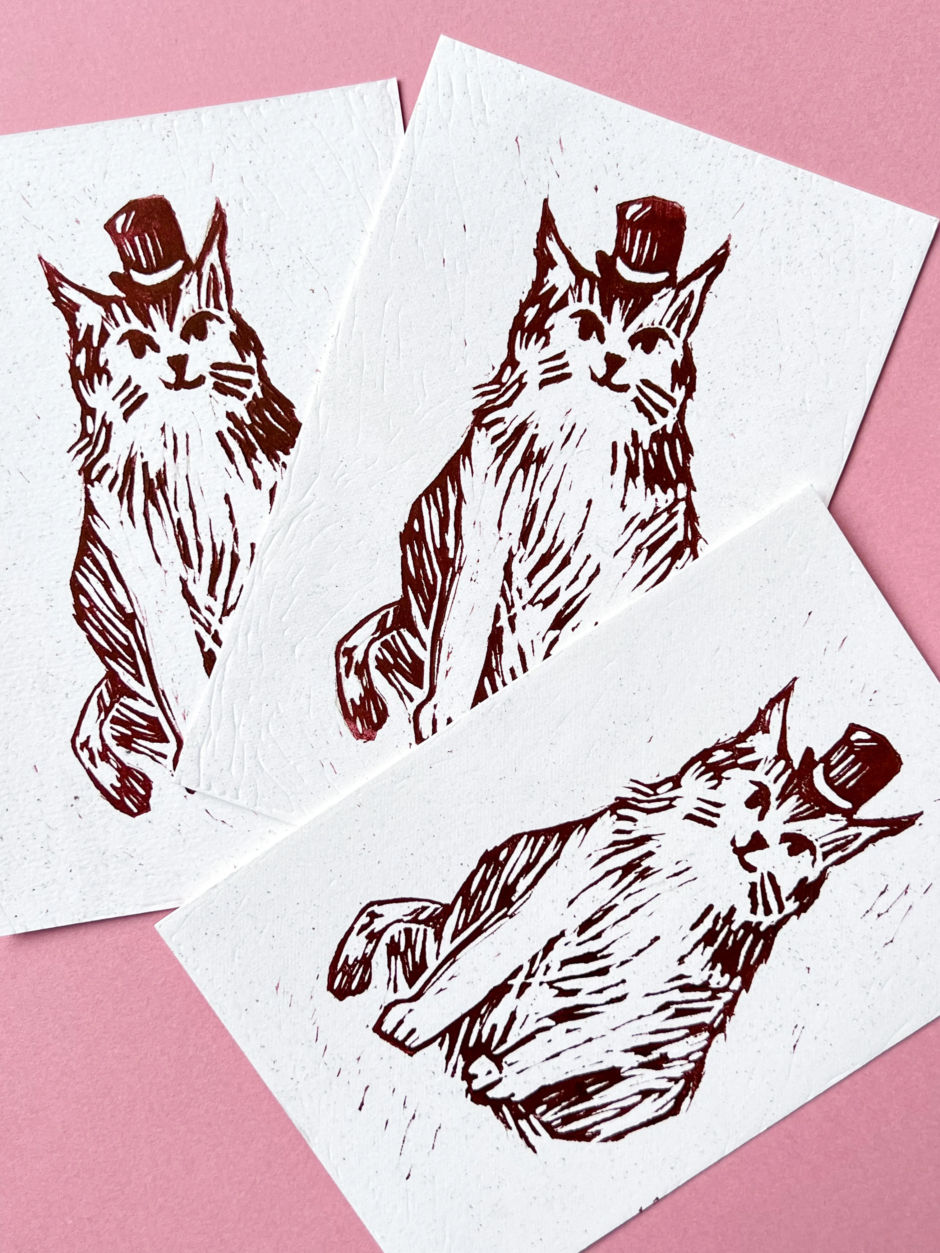 Monsieur Cat