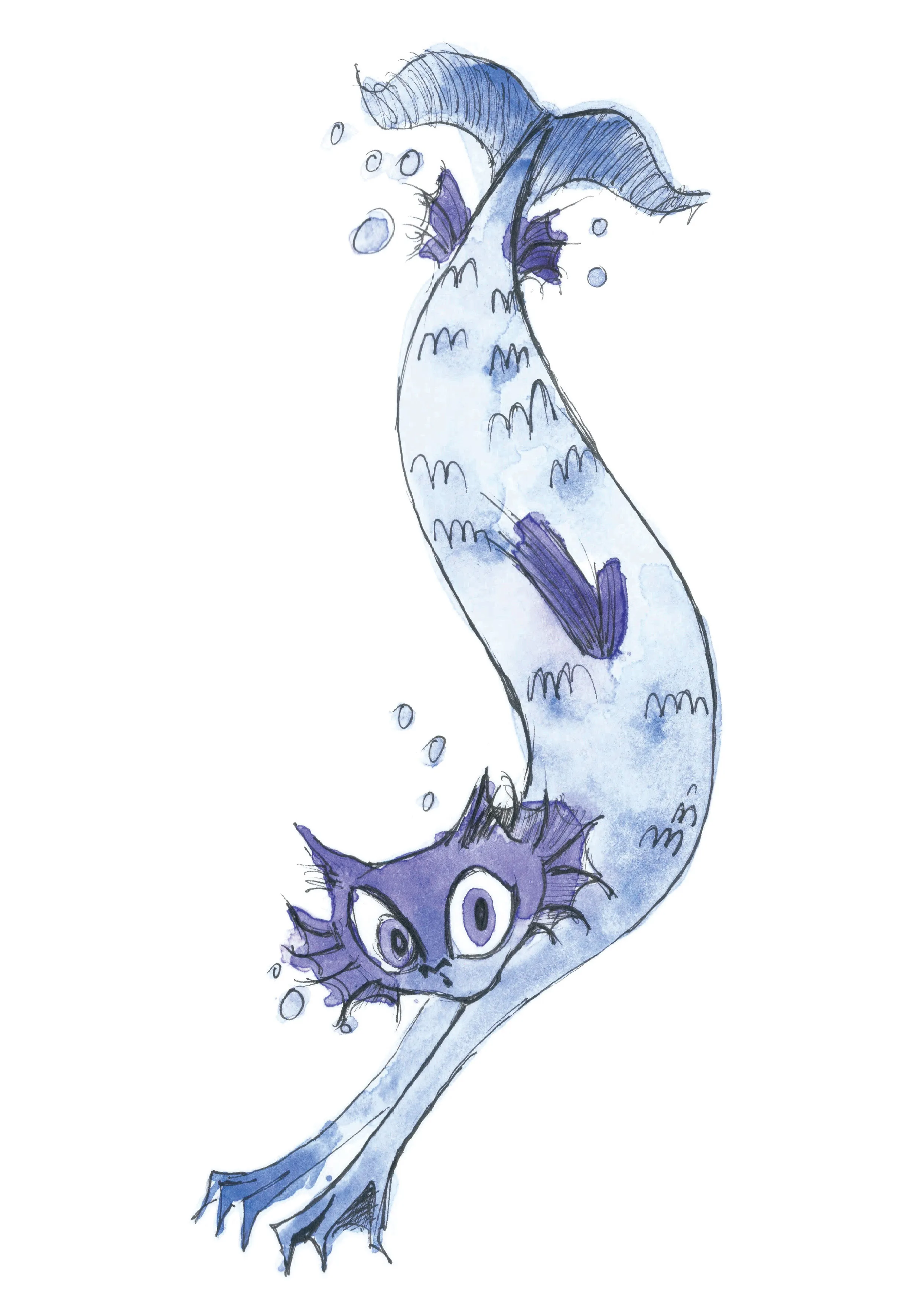 Mermaid Cat