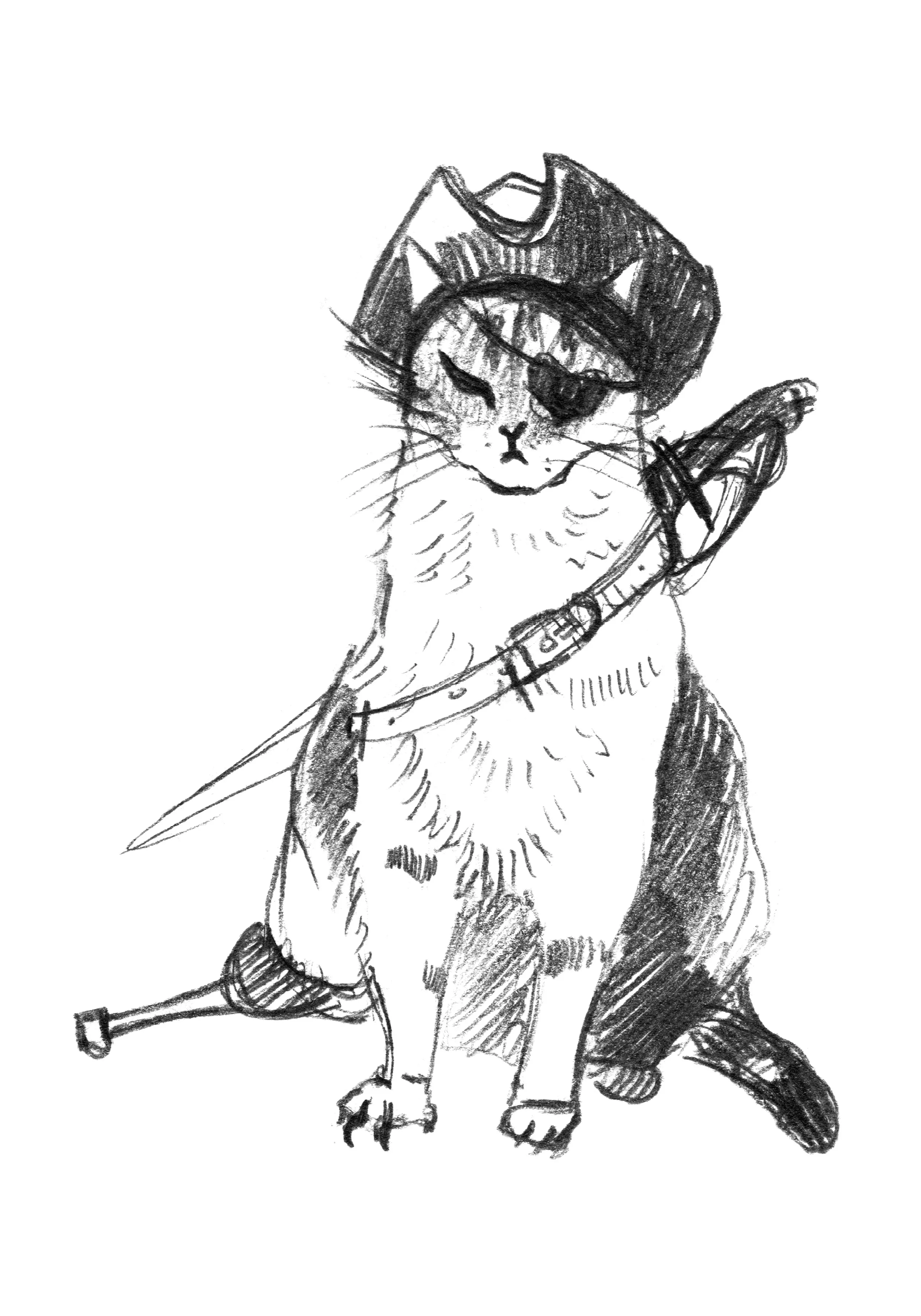 Pirate Cat